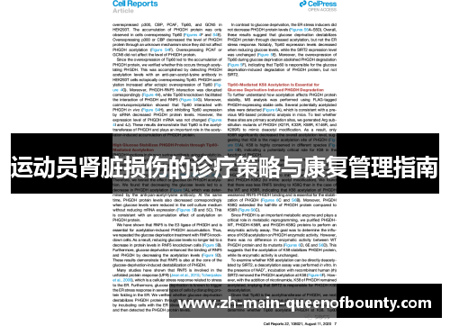 运动员肾脏损伤的诊疗策略与康复管理指南